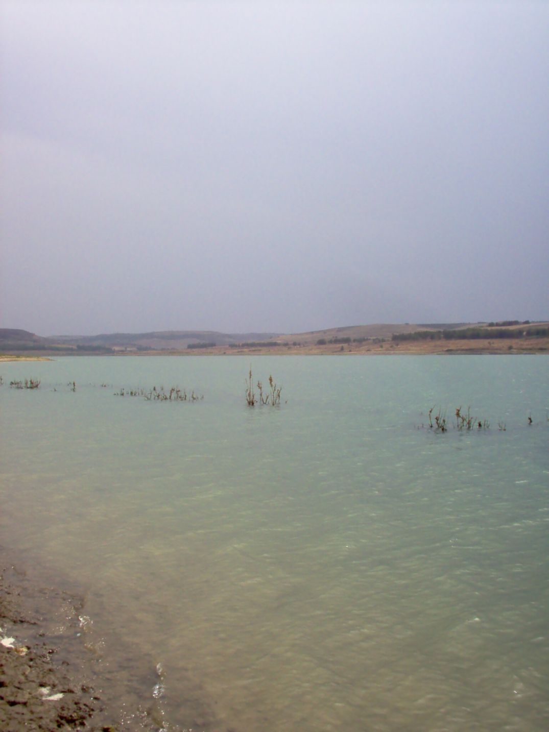 Laghi.......della PUGLIA